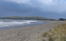 Doran Beach