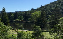 Spring Lake Regional Park landscape