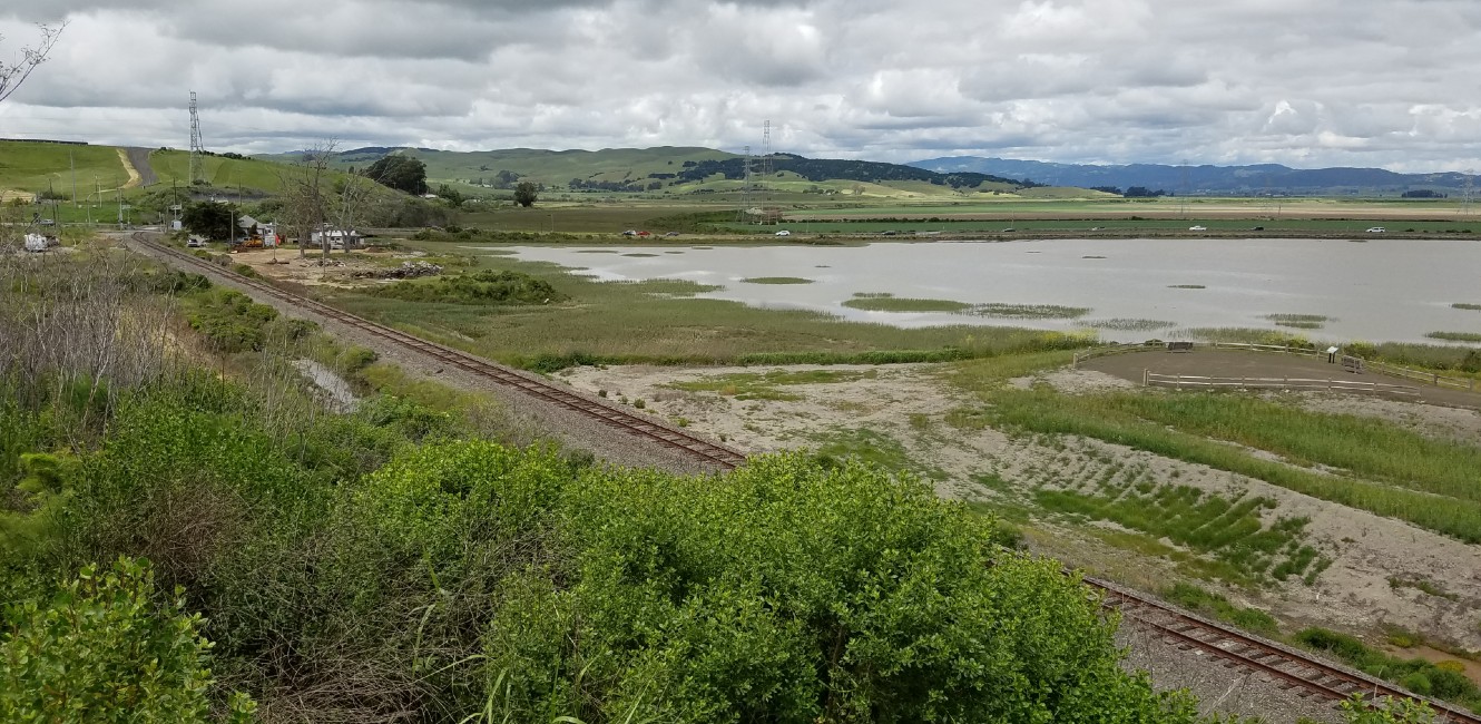 Sears Point Trail location looking east