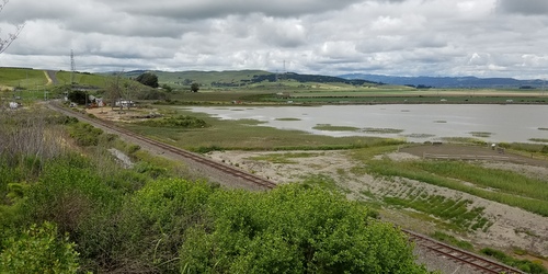 Sears Point Trail location looking east