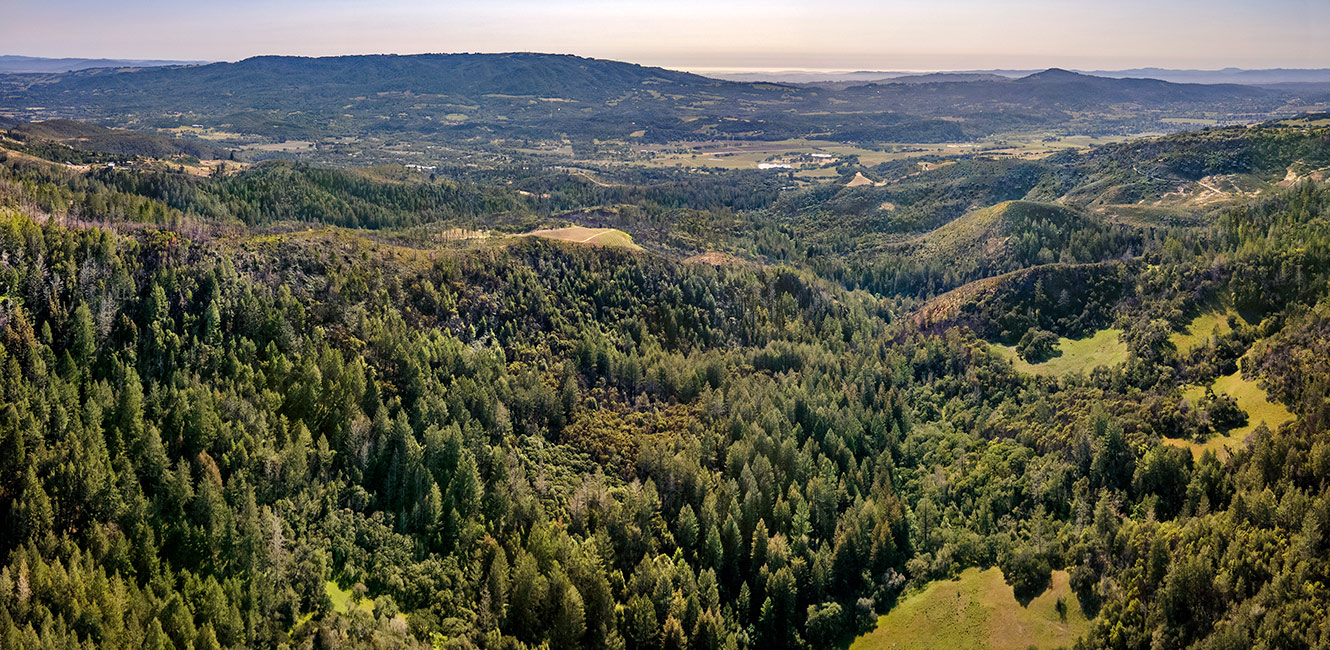 Calabazas Creek