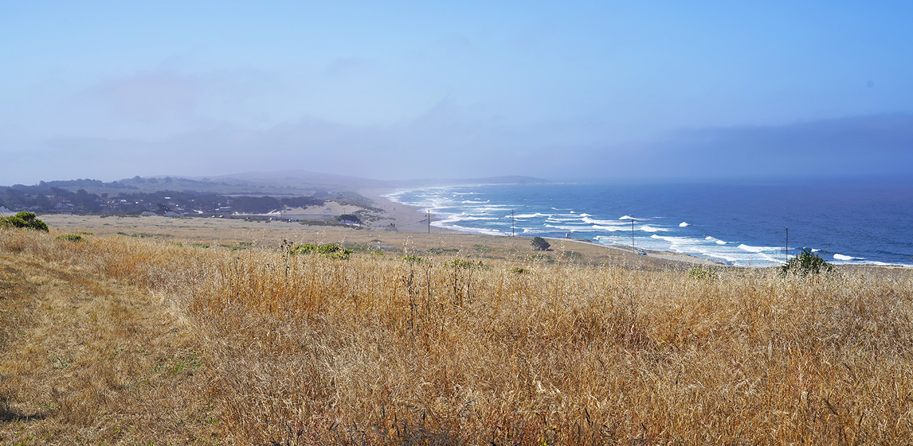 View of Carrington Beach during summer