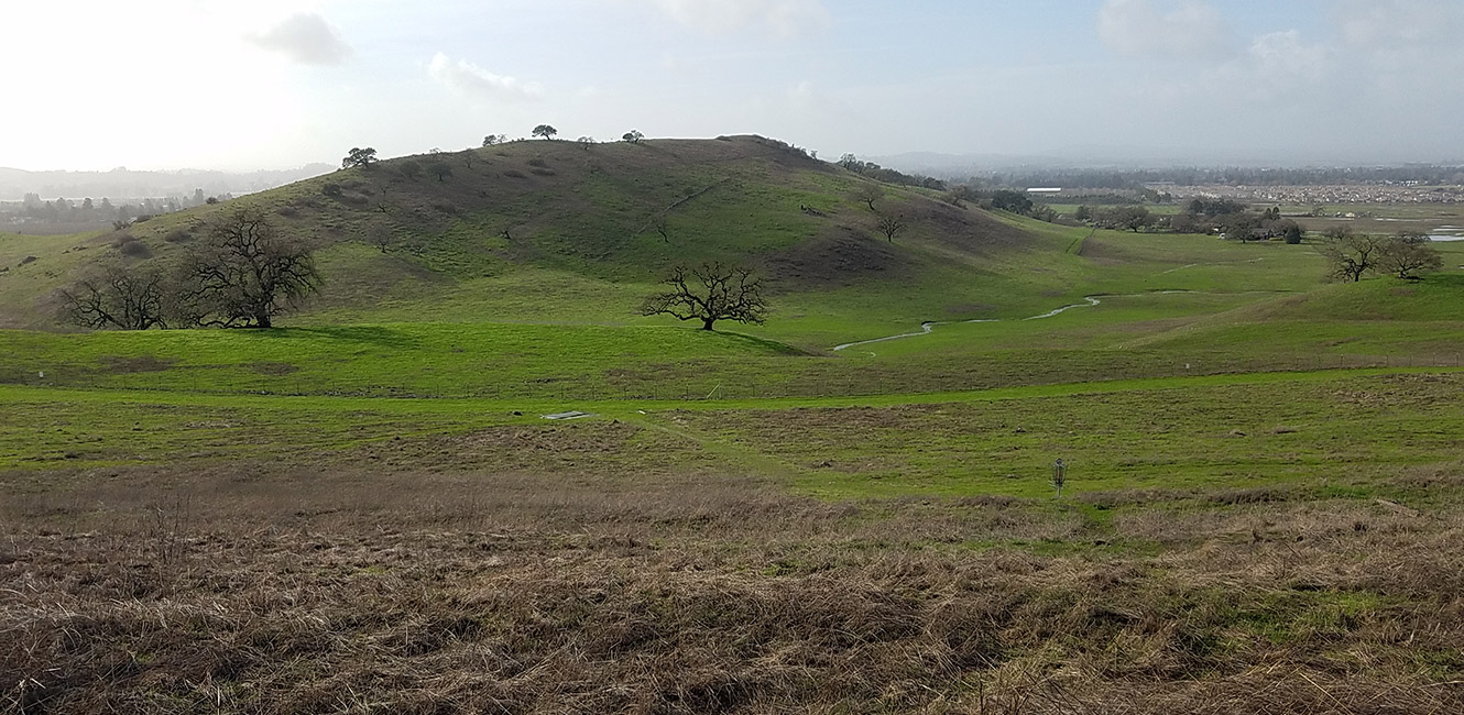 View of hill at Crane Creek Regional Park 