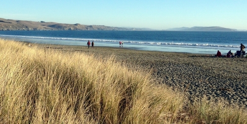 Doran Beach dunes-500