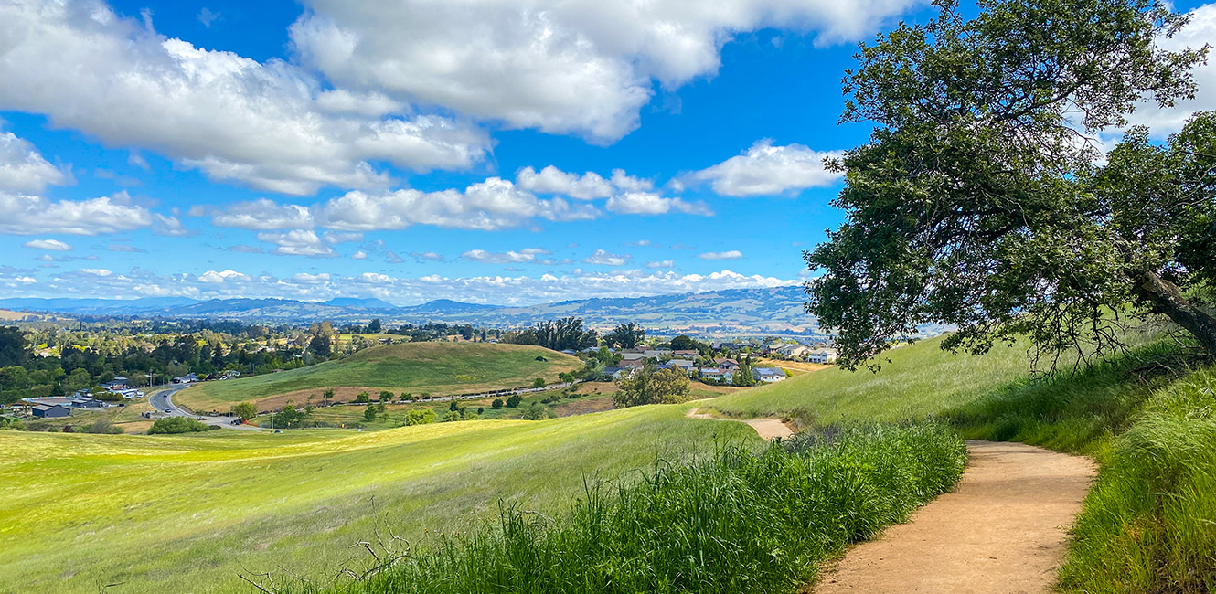 Meadow looking south to ridgeline at Helen Putnam Park