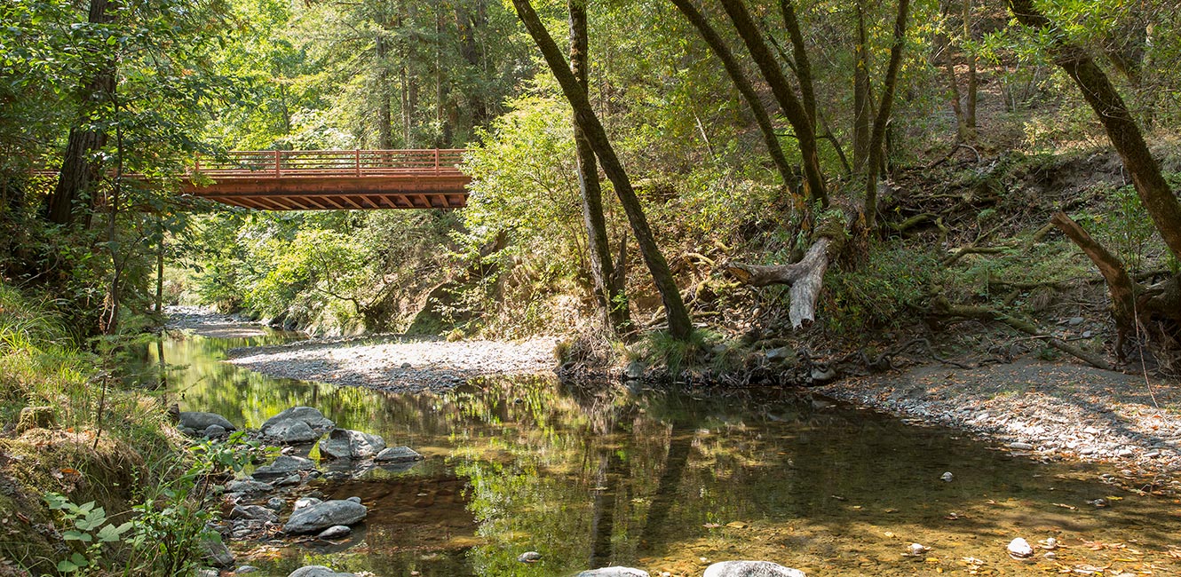 Mark West Regional Park and Open Space Preserve bridge