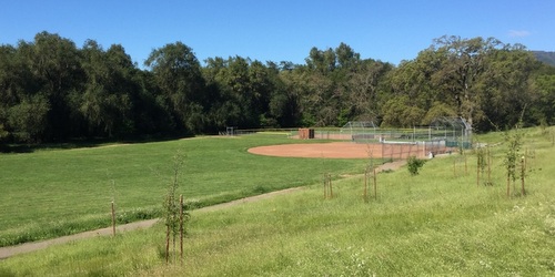 Maxwell Farms baseball field