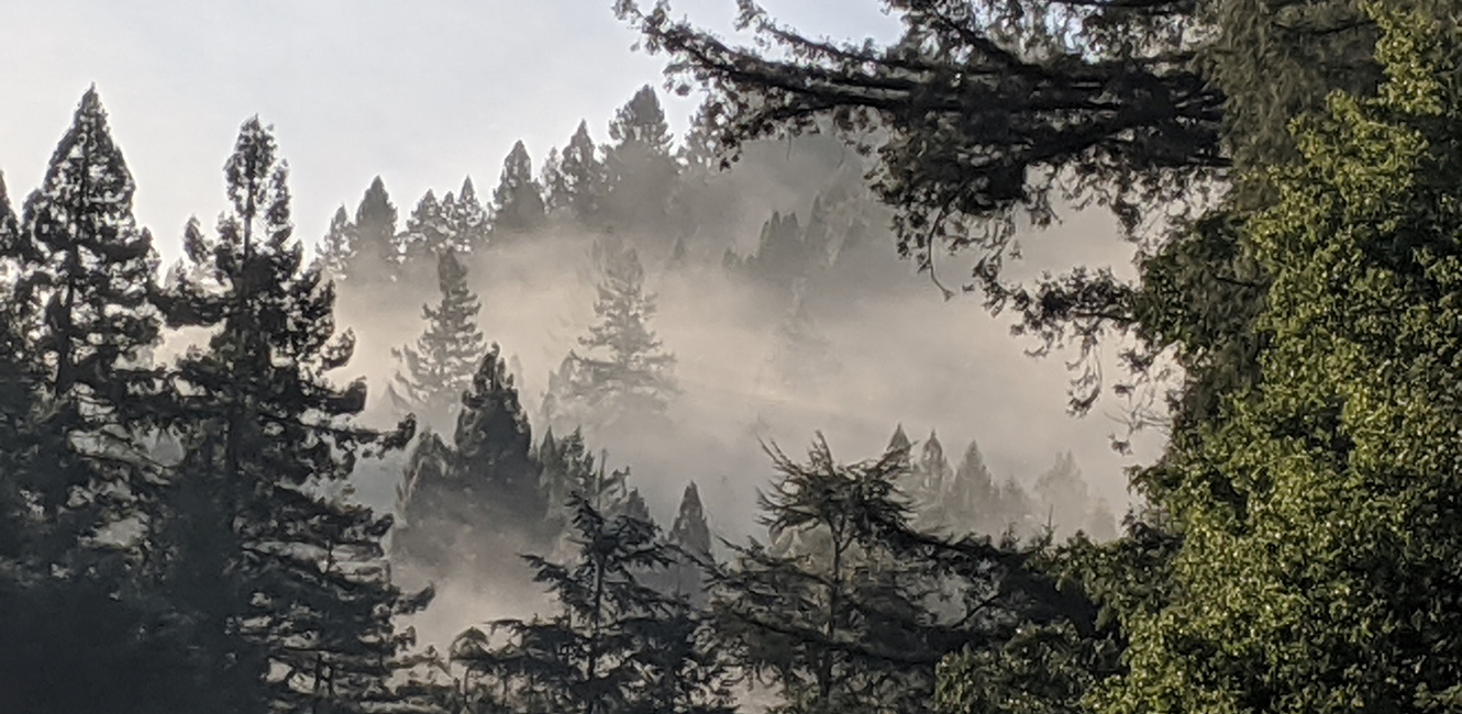 Western ridge in fog 