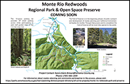 Monte Rio Redwoods Regional Park & Preserve Guided Access and Public Process 