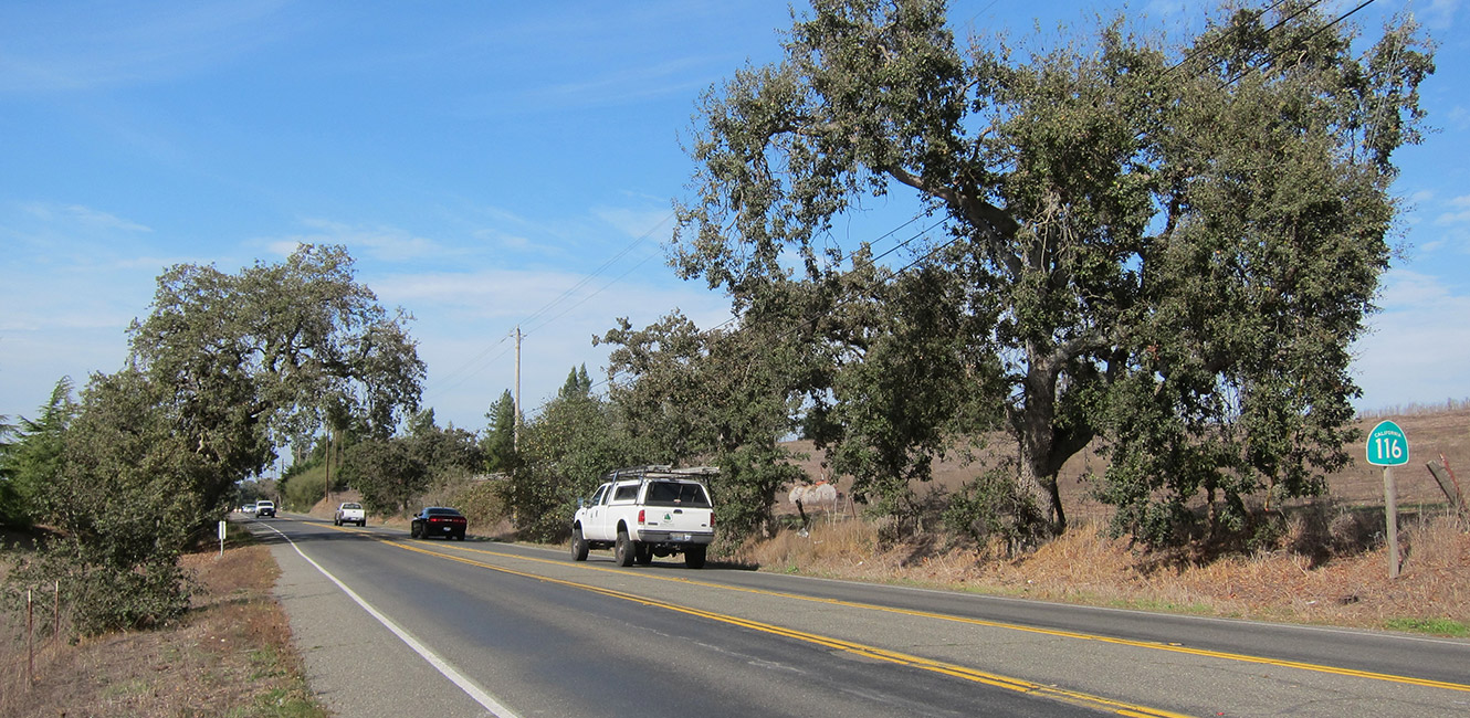 Petaluma Sebastopol Trail Feasibility study area