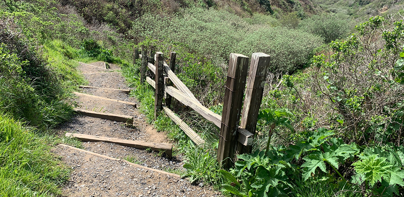 Pinnacle Gulch existing broken and damaged steps on trail