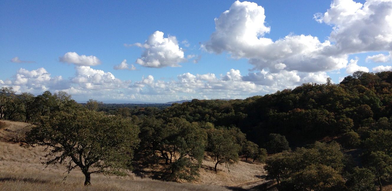 Clouds over Sonoma Valley Regional Park 