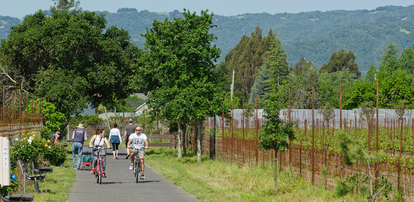 Sonoma Valley Trail walkers and bicyclists on trail