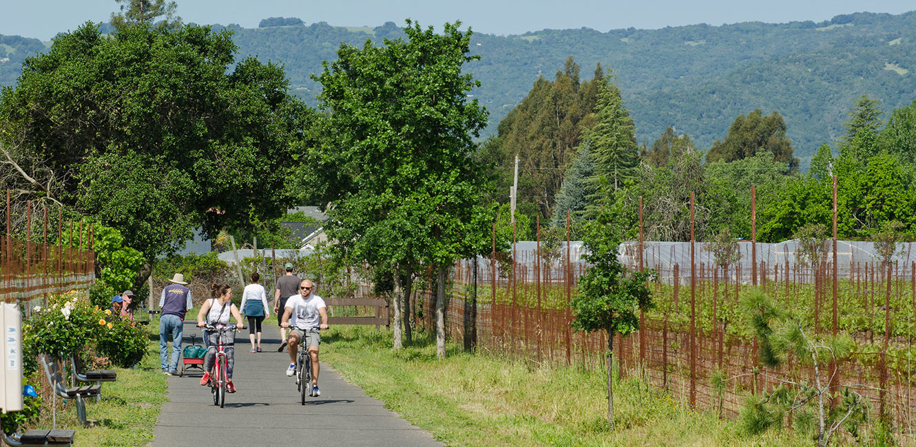 Sonoma Valley Trail (Proposed)