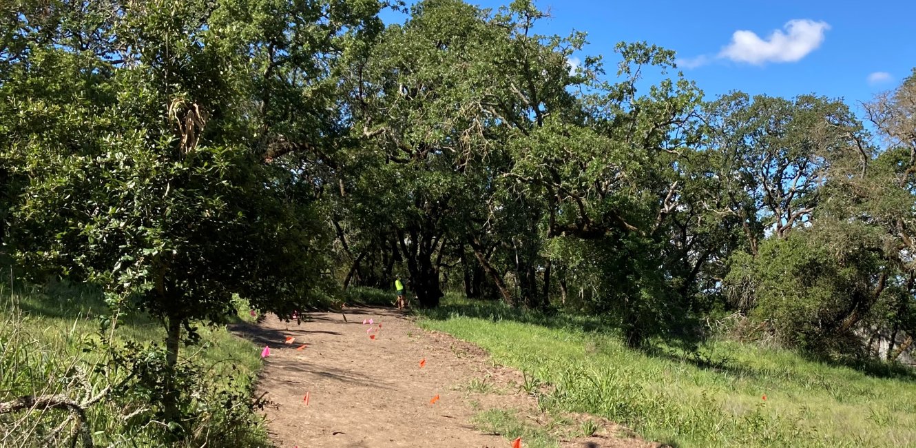 Taylor Mountain Phase 2 Construction on trail