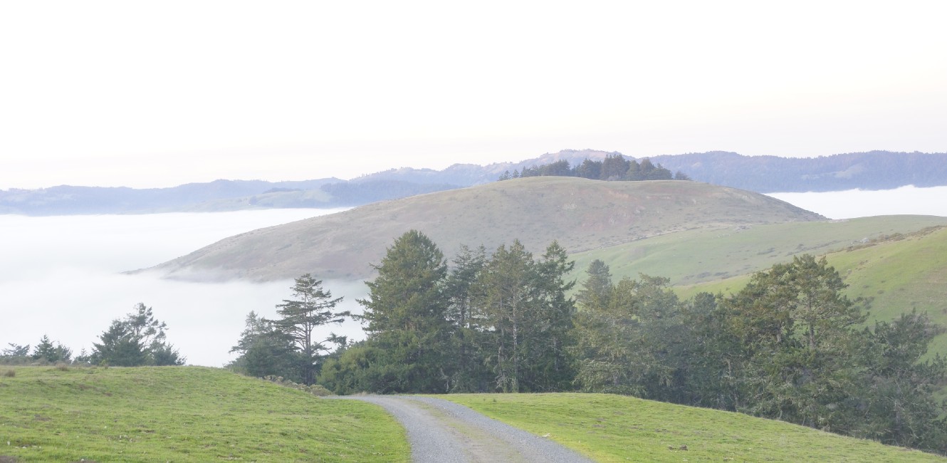 Fog Islands by Rivereye