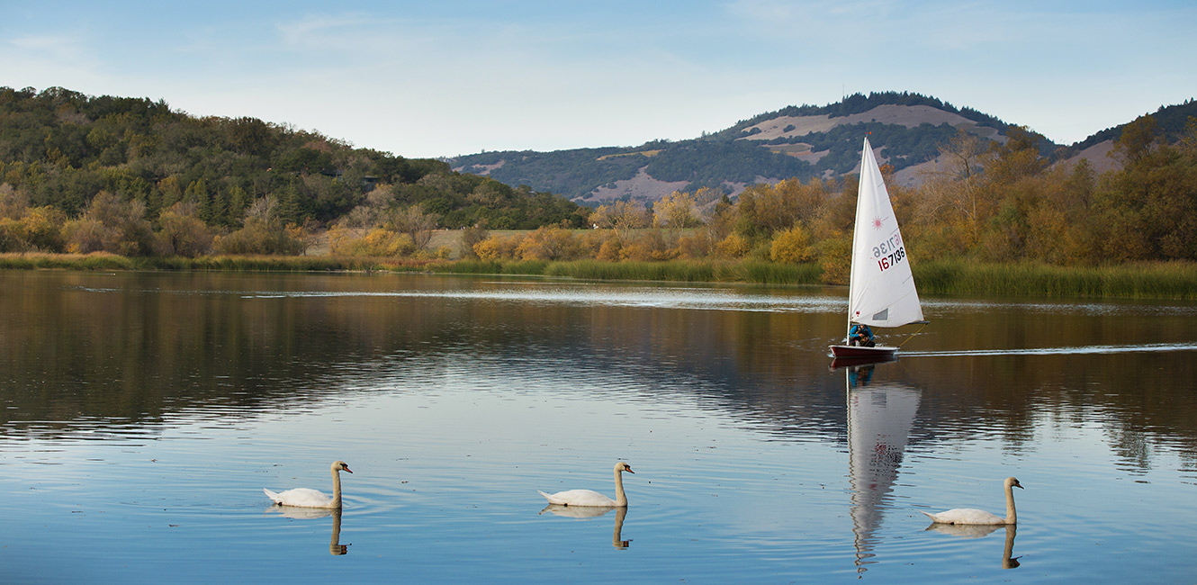 Sailboat and swans at Spring Lake Regional Park