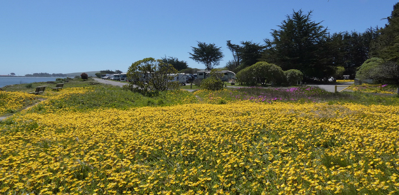 Camping at Westside Regional Park