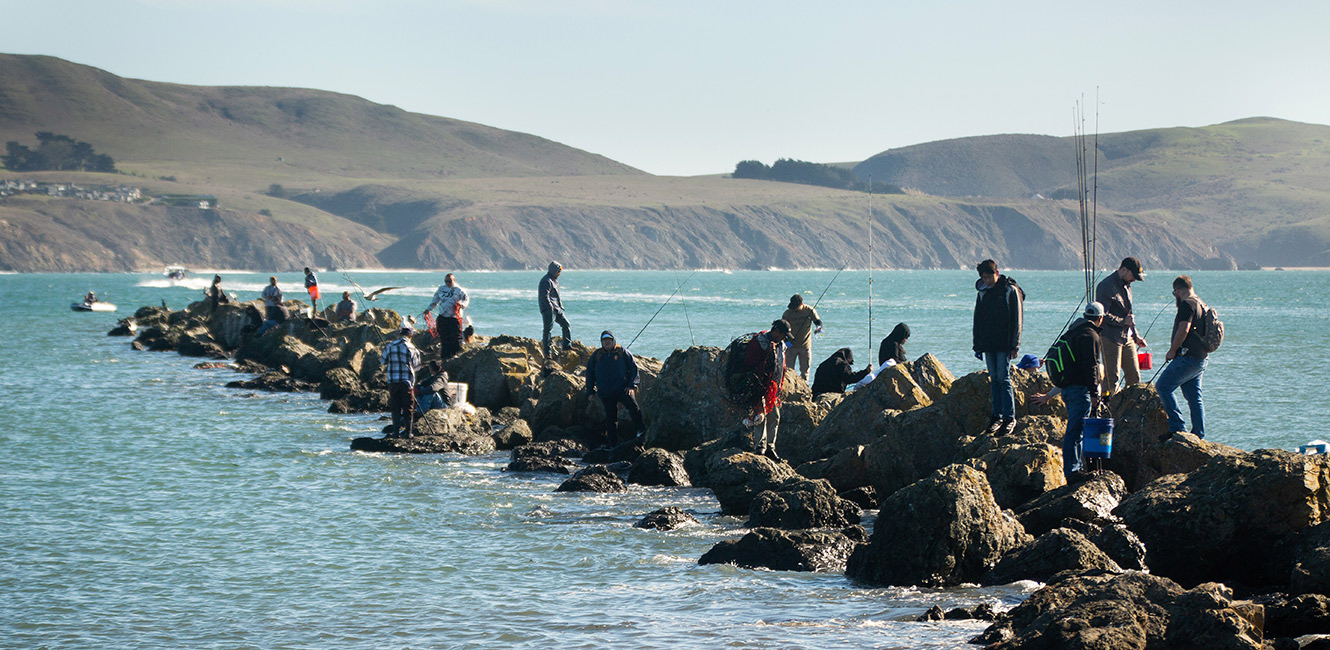 Fishing from the jetty at Doran Regional Park