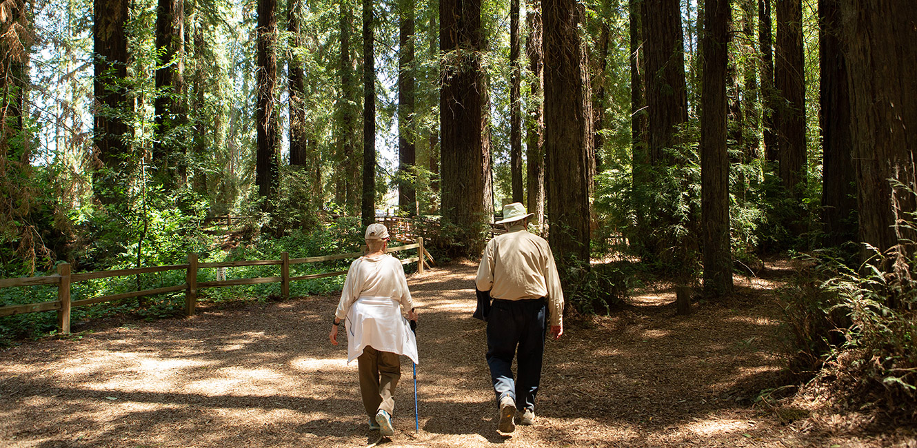 Hiking through the redwoods at Riverfront Regional Park