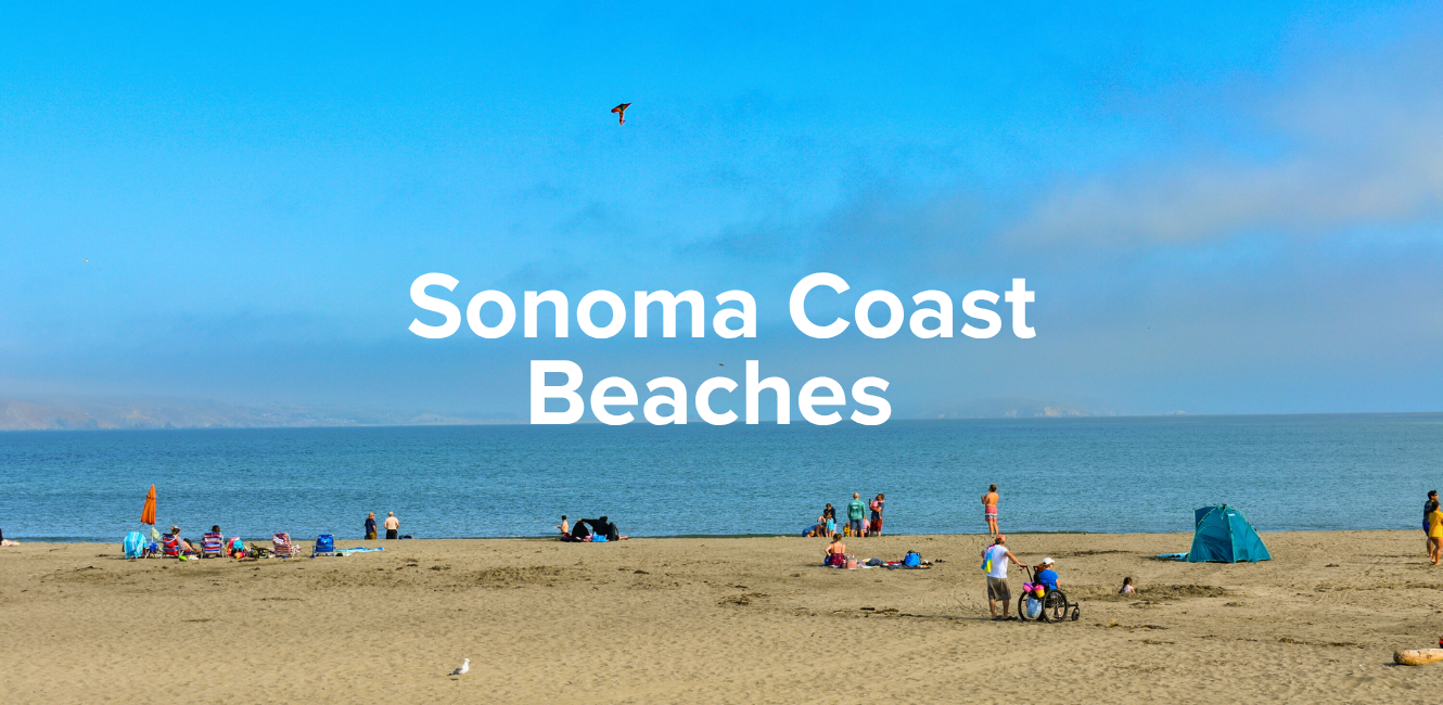 People enjoying Doran Beach at Doran Regional Park with text that reads "Sonoma Coast Beaches"