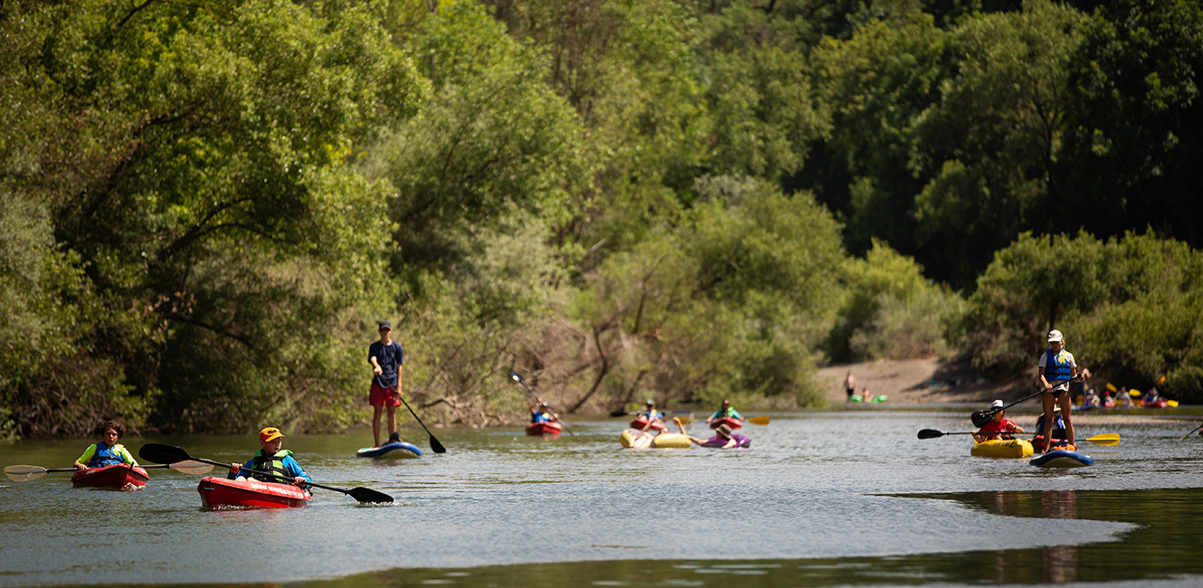 Kayakers on the Russian River
