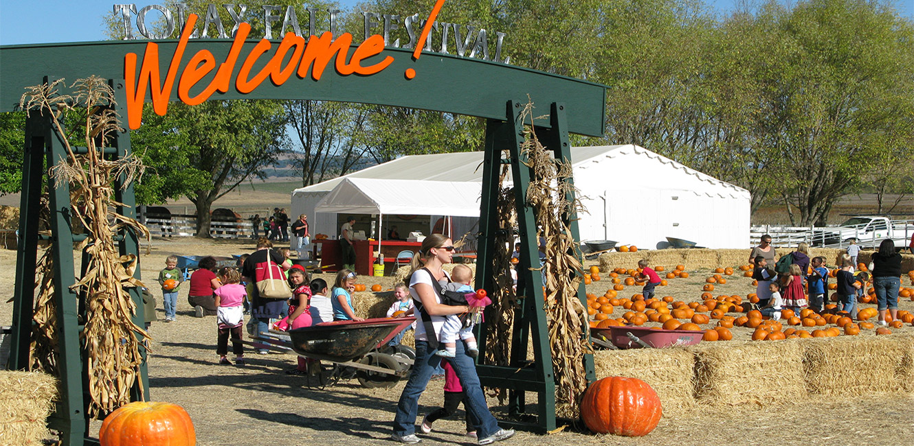 Tolay Fall Festival