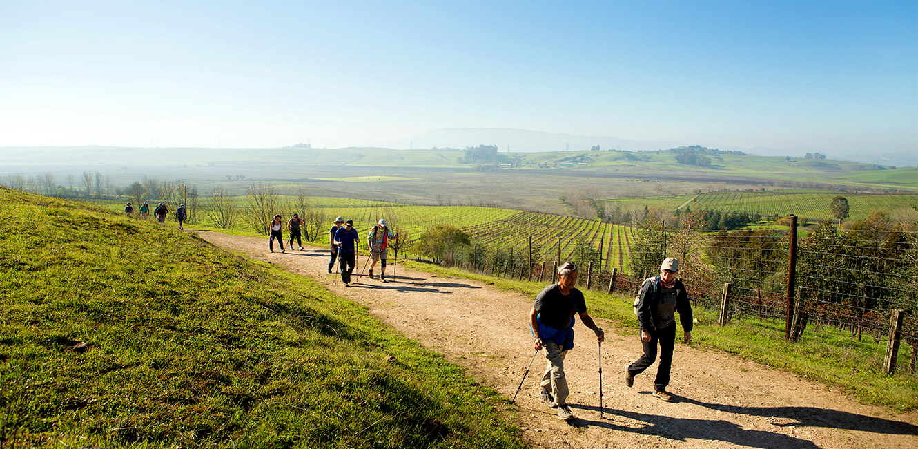 Hikers on the East Ridge Trail at Tolay Lake Regional Park