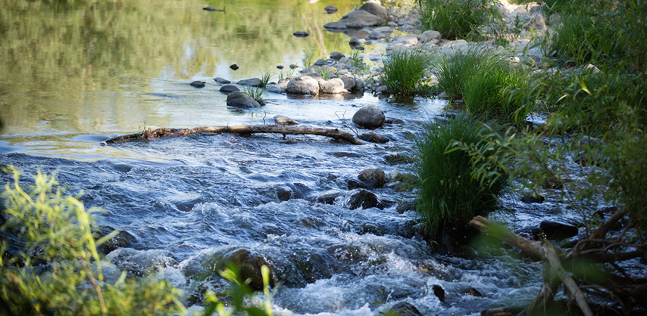 Cloverdale River Park - Russian River