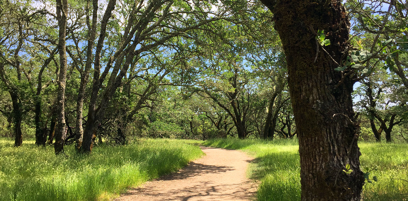 Oakwood Trial at Foothill Regional Park