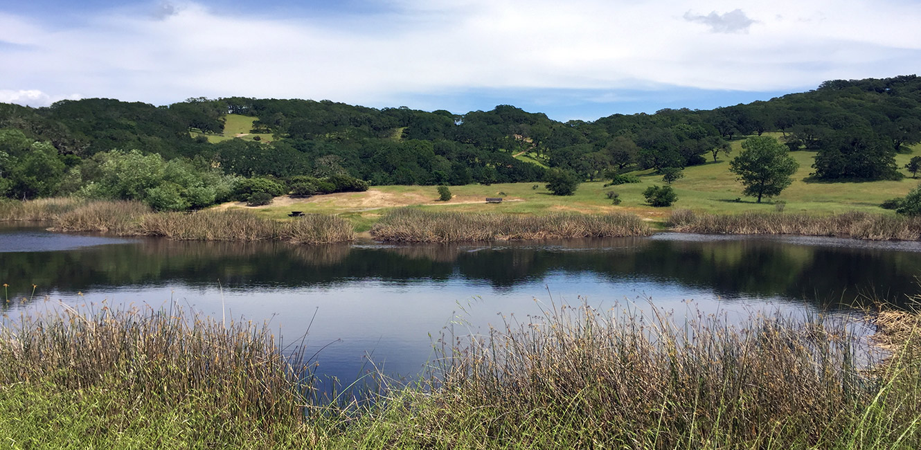 Foothill Regional Park