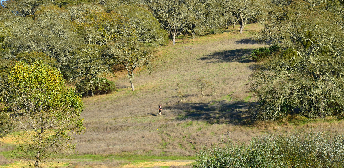 Jogger at Foothill Regional Park