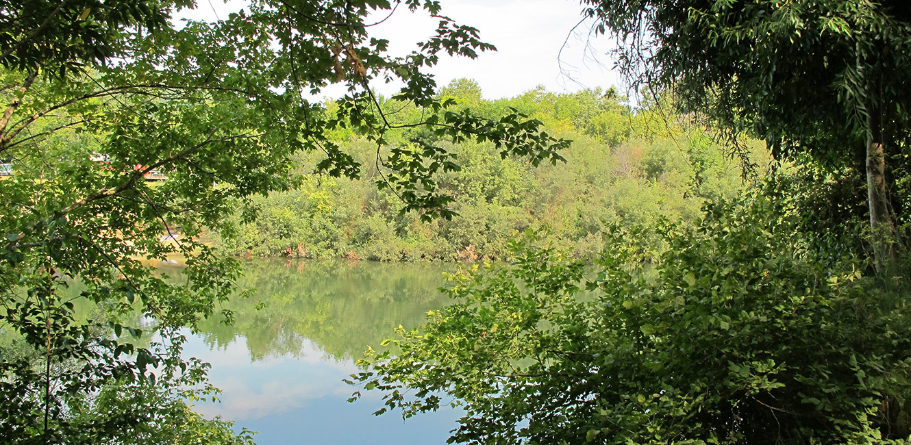 Guerneville River Park - view of the Russian River