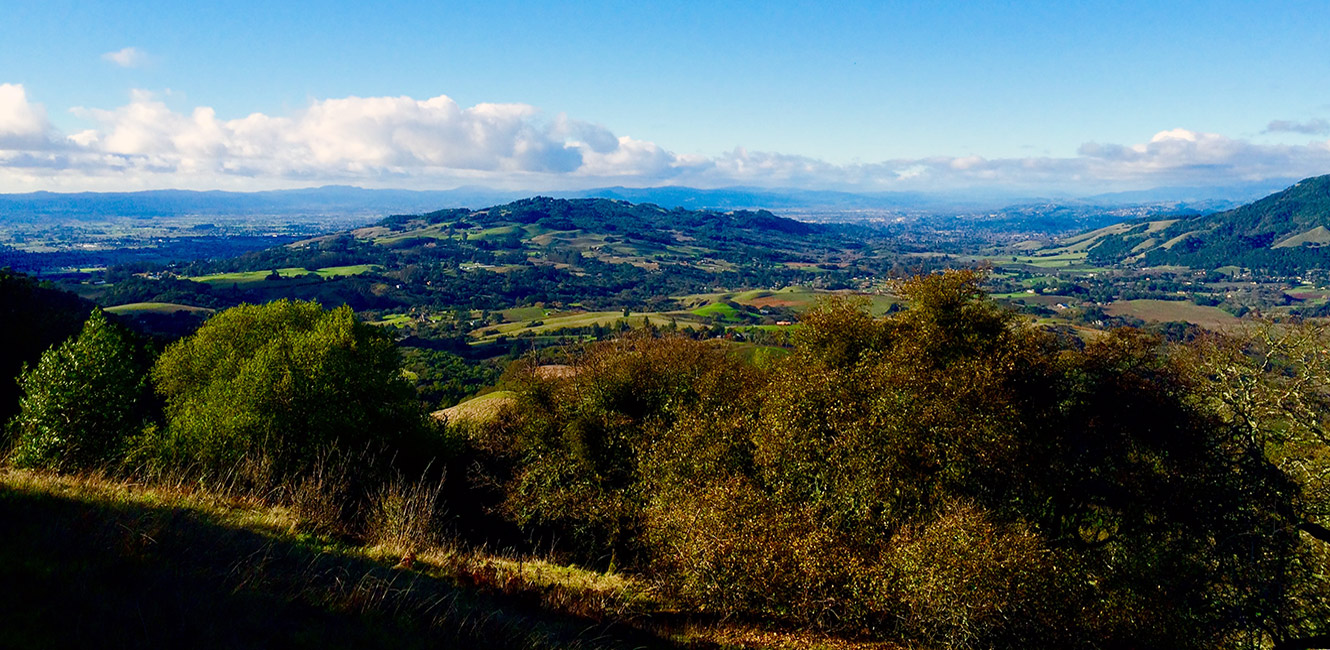 View from North Sonoma Mountain Regional Park and Preserve