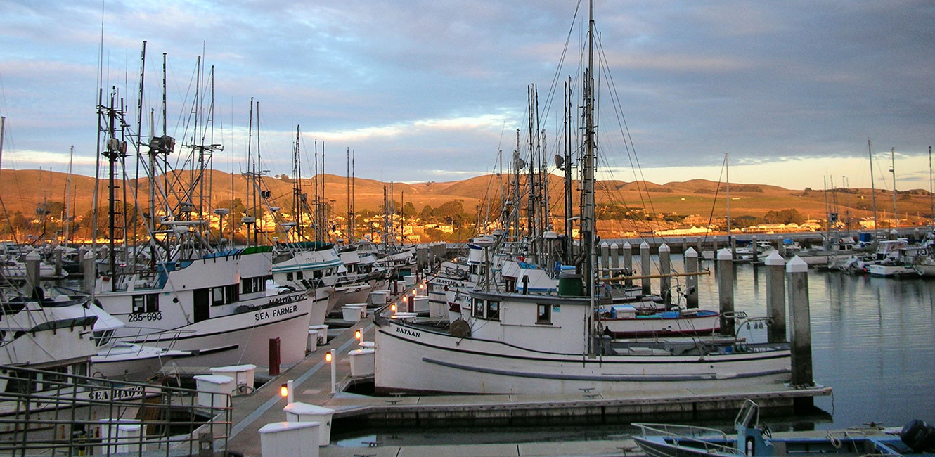 Spud Point Marina boats