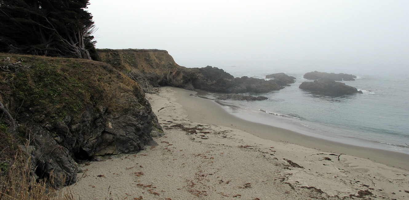 Stengel Beach Coastal Access Trail at The Sea Ranch