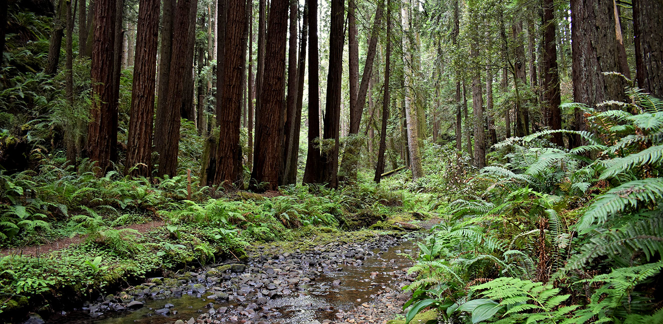 Stillwater Cove Regional Park