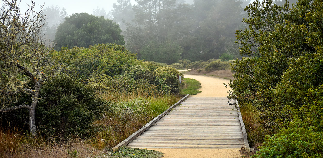 Coastal Prairie Trail - footbridge