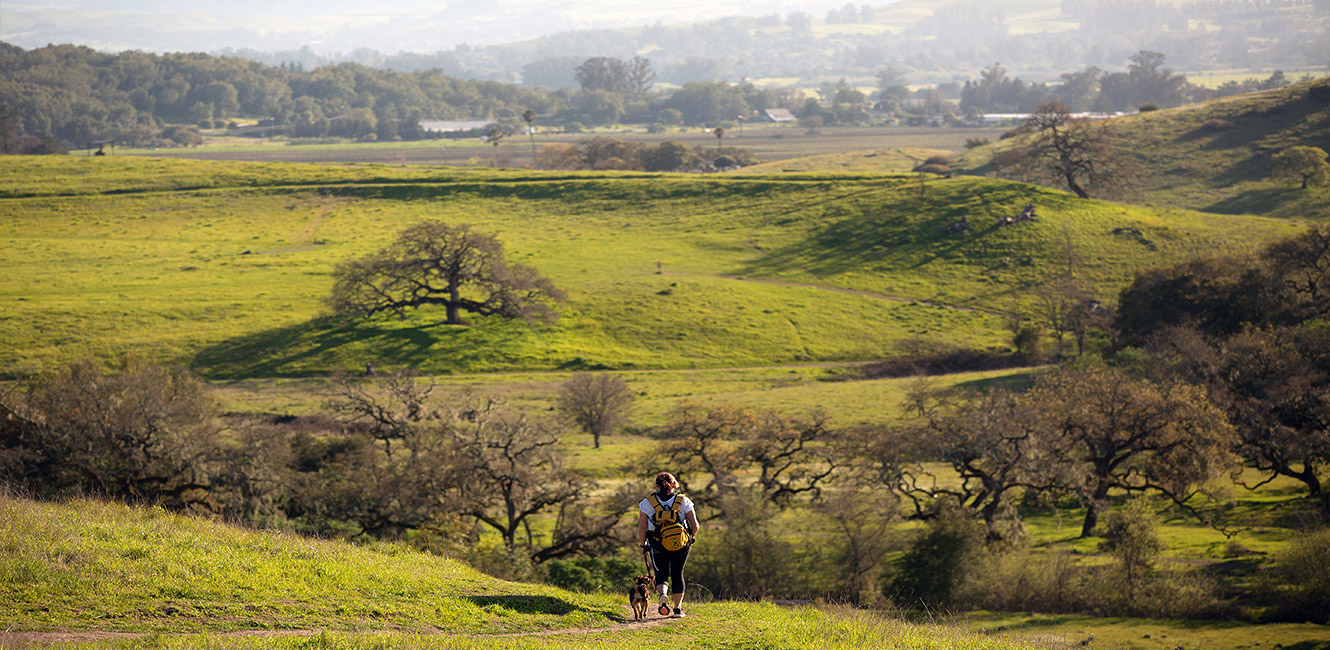 Hiking at Crane Creek Regional Park