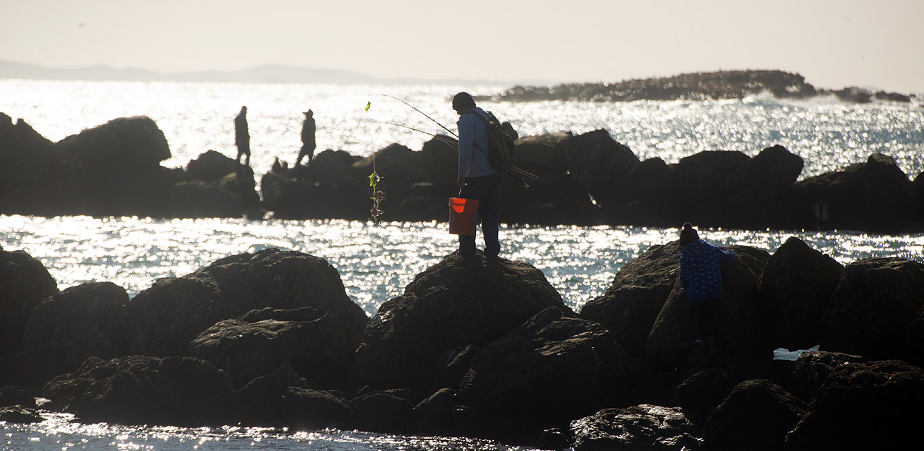 Fishing on the jetty at Doran Regional Park