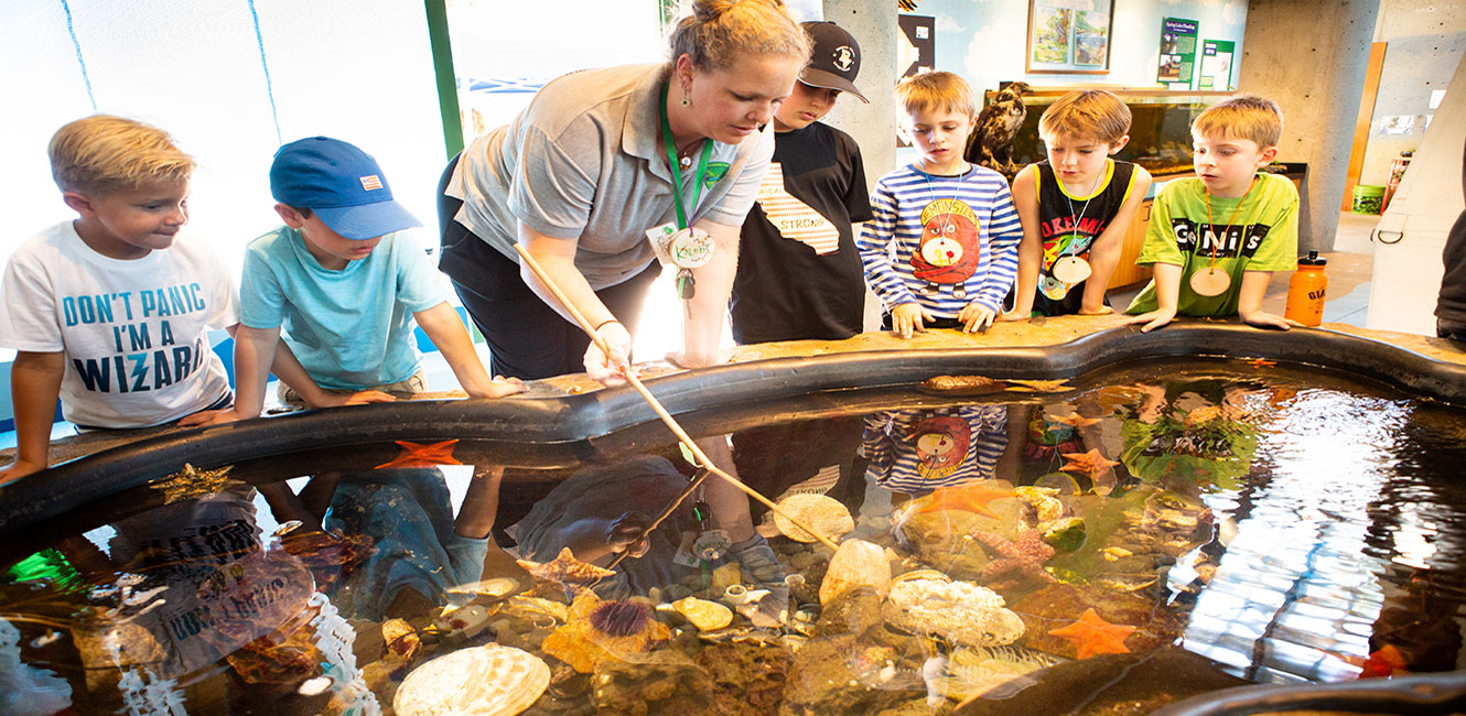 Environmental Discovery Center - tidepool tank