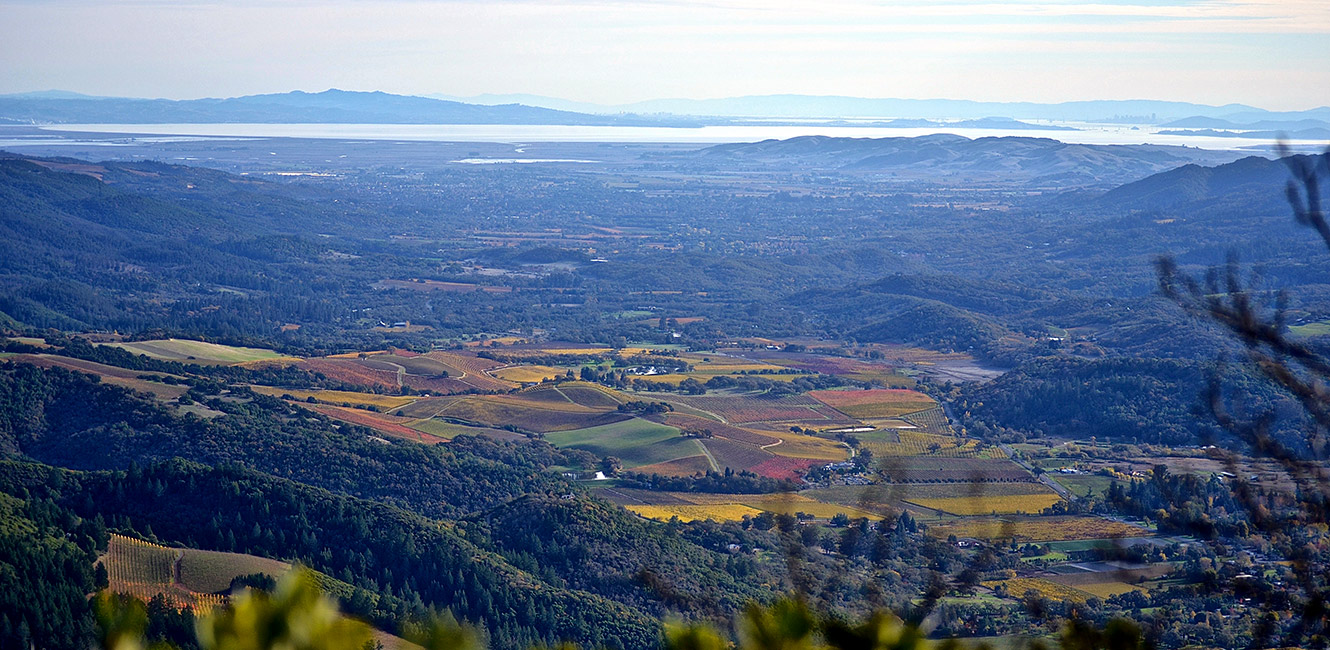 View of the Sonoma Valley from Hood Mountain Regional Park and Preserve