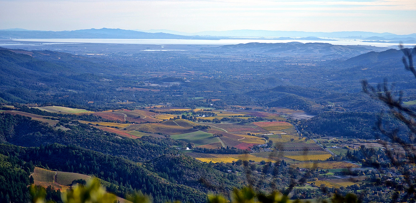 The Preserve at Valley View