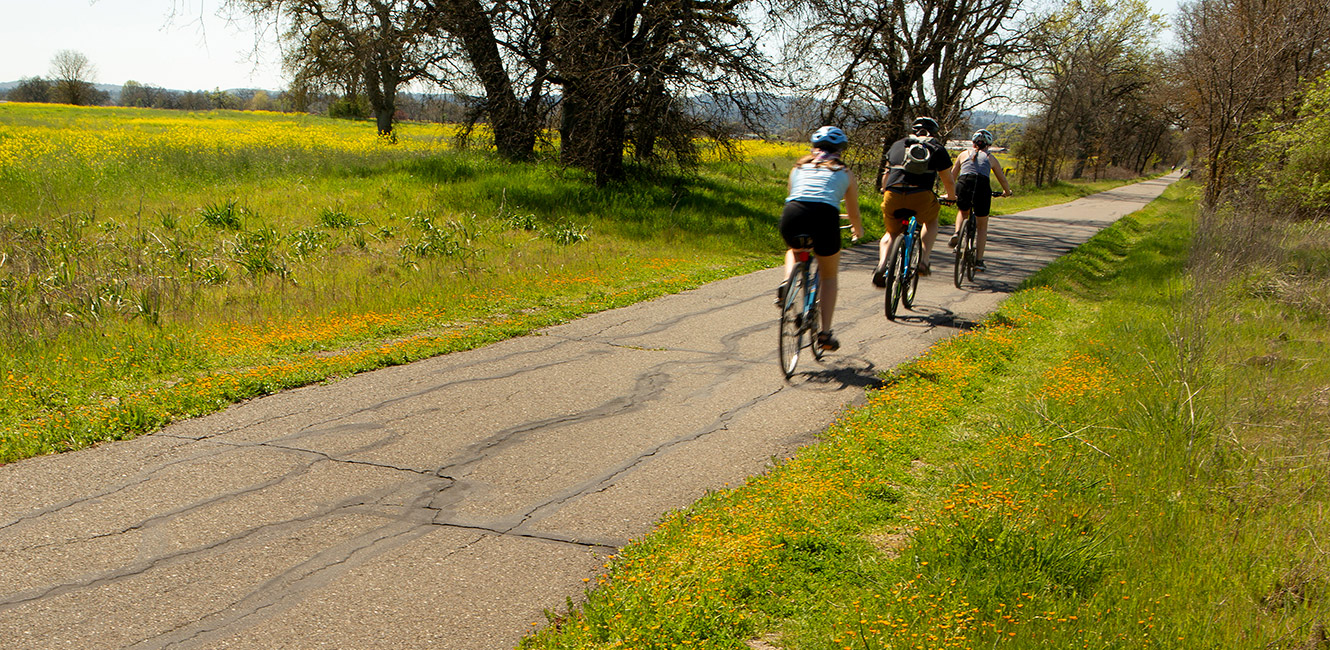 Joe Rodota Trail