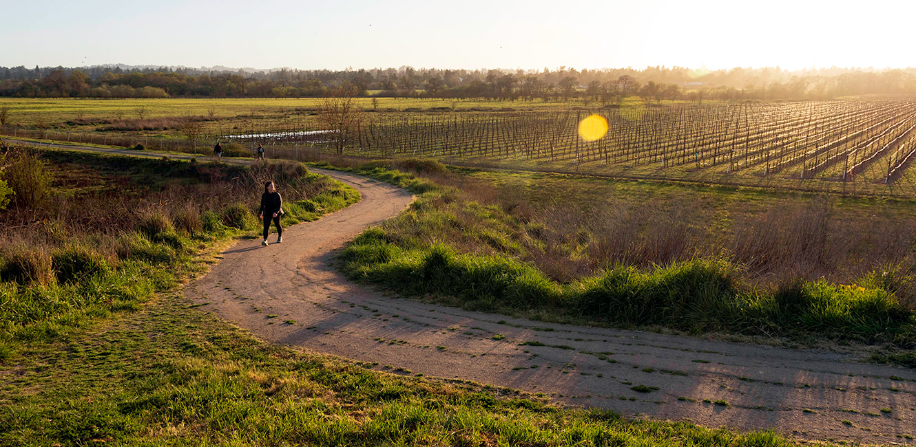 Laguna de Santa Rosa Trail