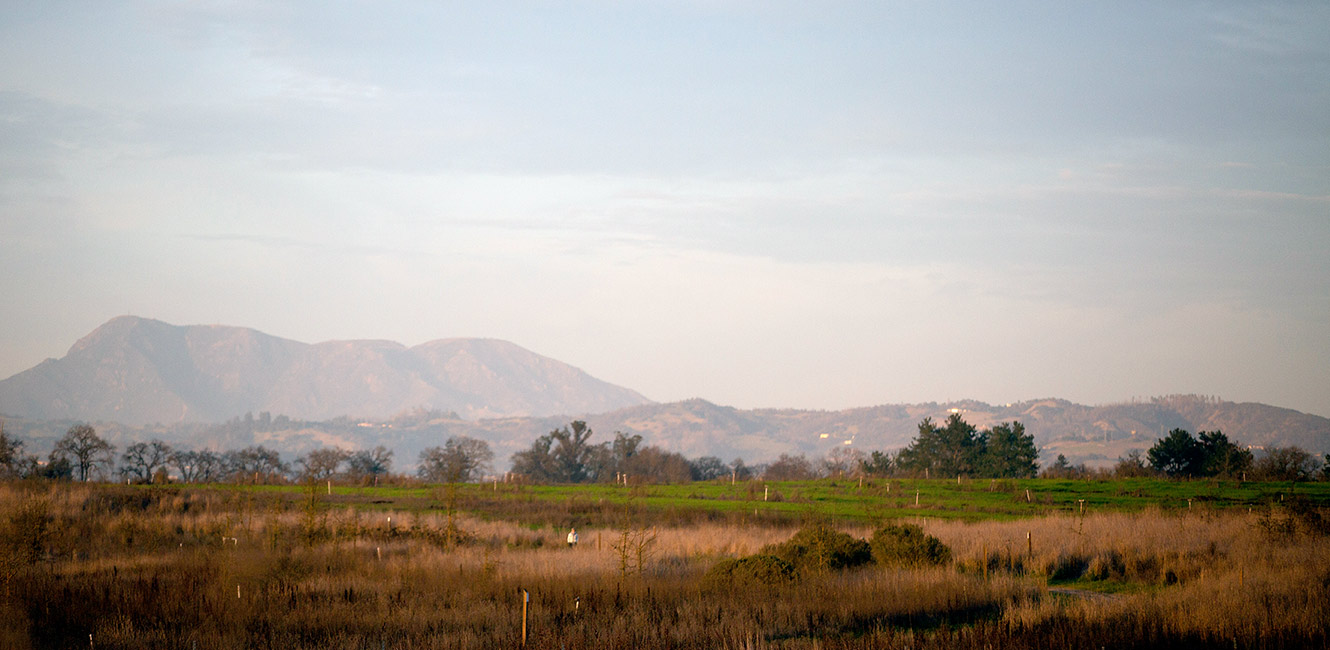 Laguna de Santa Rosa Trail