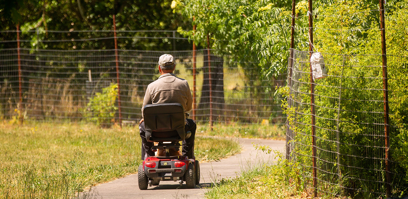 Paved accessible pathway at Maddux Ranch Regional Park