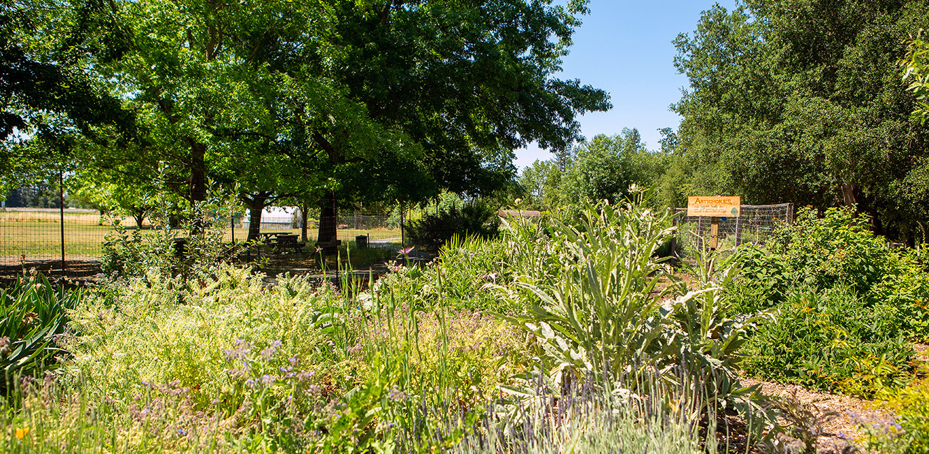 Gardens at Maddux Ranch Regional Park