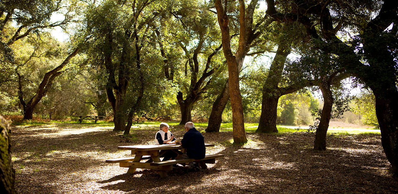 Picnic at Ragle Ranch Regional Park