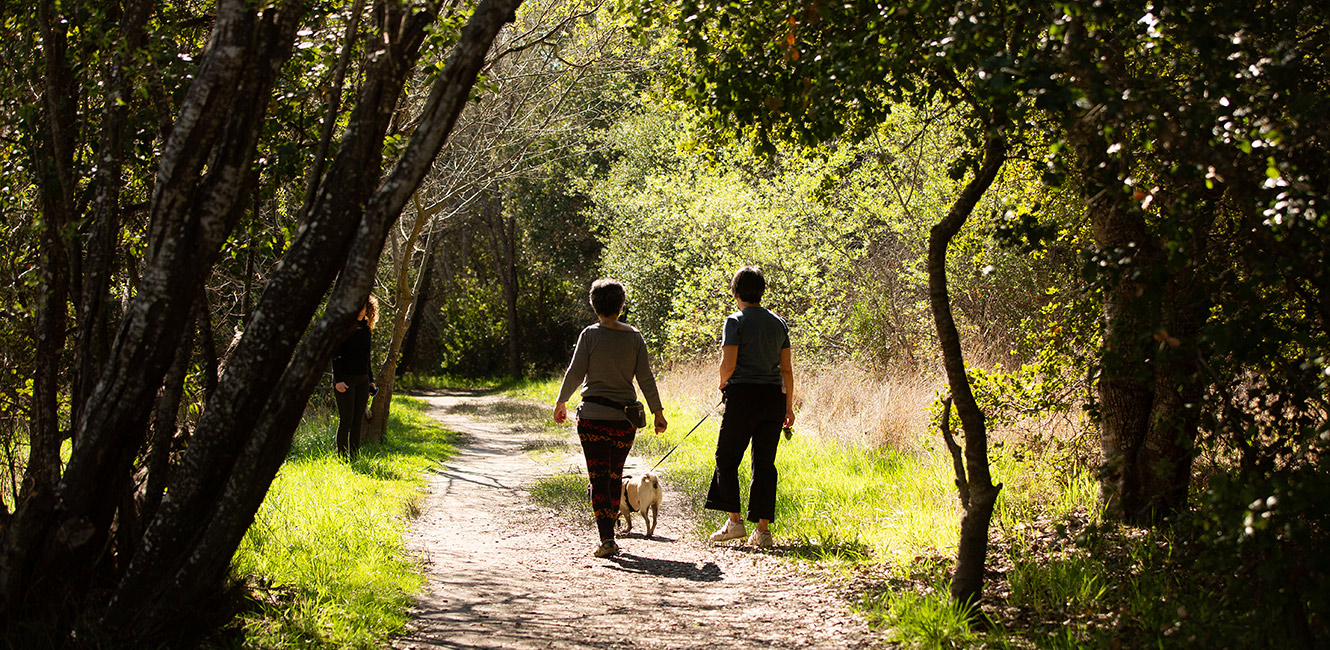 Trail at Ragle Ranch Regional Park